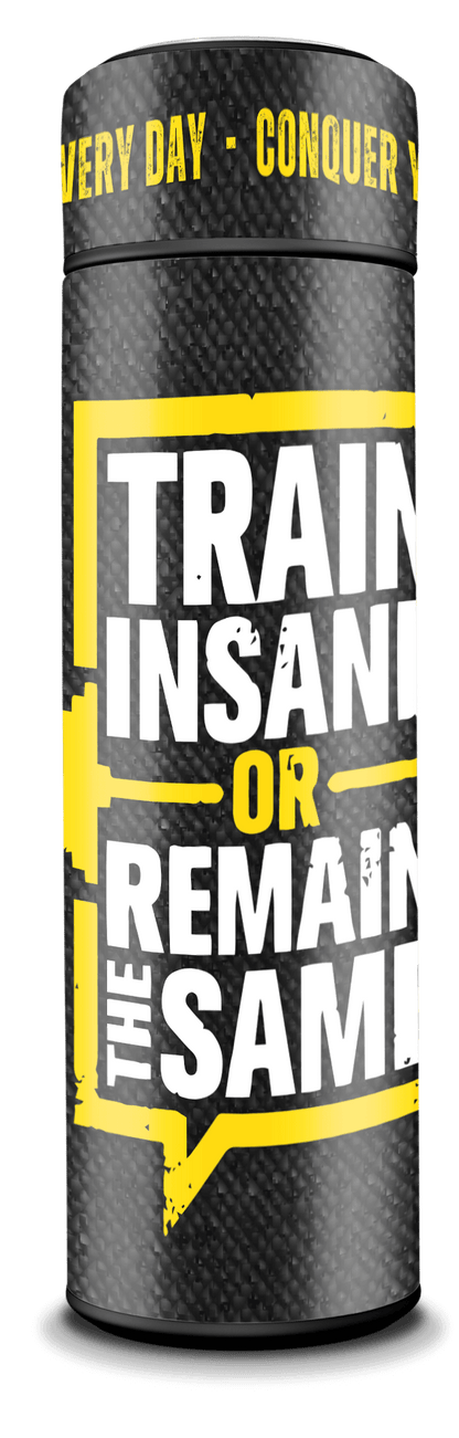 Train Insane - Smart Insulated Stainless Steel Motivational Bottle with Temperature Display